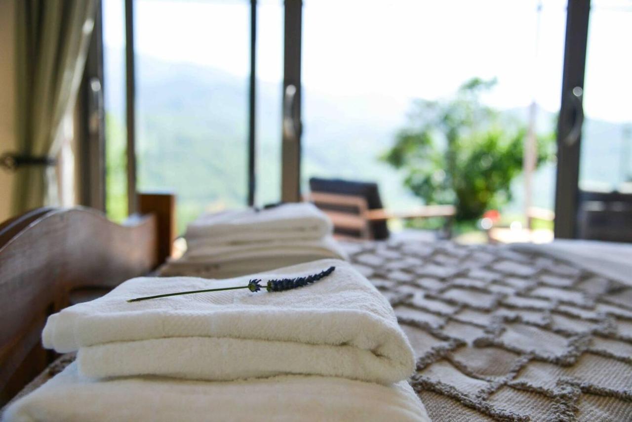 Mountain Hikers Luxury Retreat In Roquefixade Exterior foto